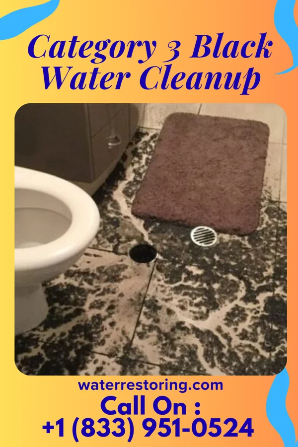 Category 3 Black Water Cleanup in Soldiers Grove, WI