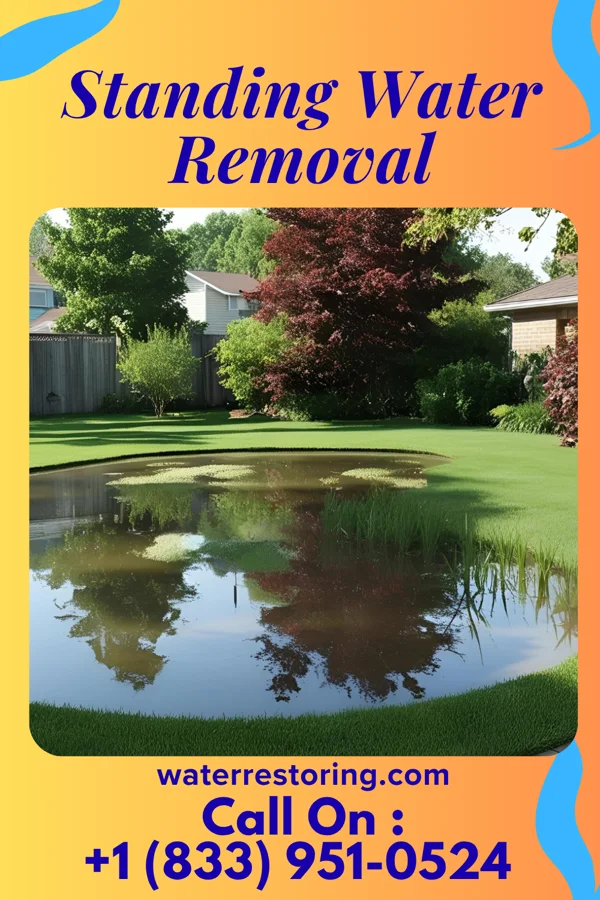 Standing Water Removal in Soldiers Grove, WI
